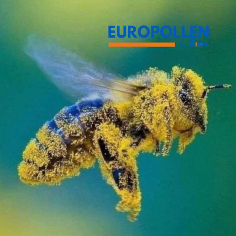 Europollen by Zimex