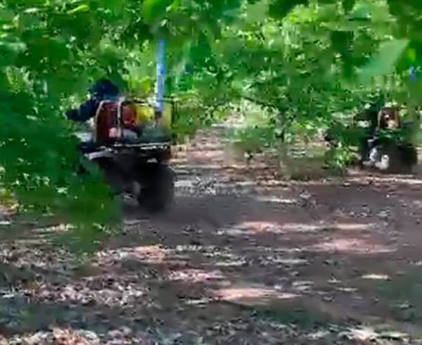 Polinización Asistida en Nogales Región metropolitana Chile. Zimex Smart Agro / Europollen: Refuerzo Estratégico de Polen con Tecnología de Viento