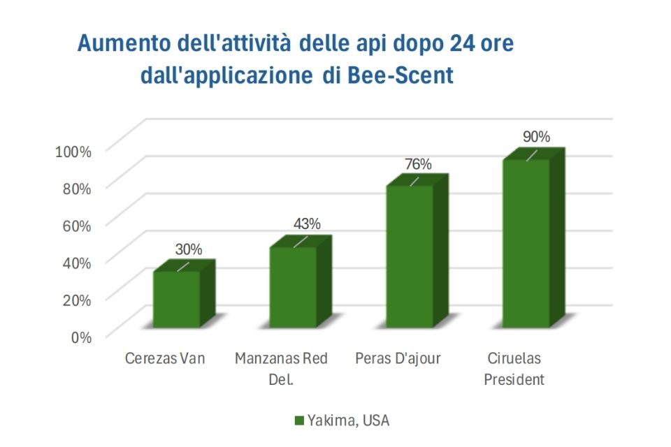 Aumento dell'attività delle api dopo 24 ore dall'applicazione di Bee-Scent Aumento dell'attività delle api dopo 24 ore dall'applicazione di Bee-Scent
