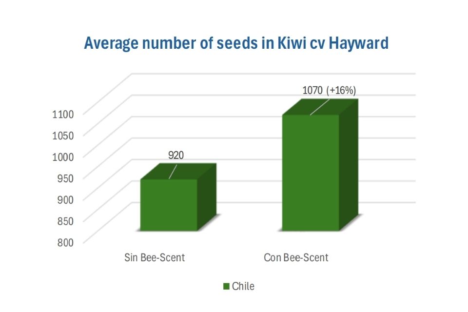 Average number of seeds in Kiwi cv Hayward