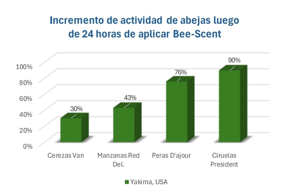 Incremento de actividad de abejas luego de 24 horas de aplicar Bee-Scent. Polen avejas España