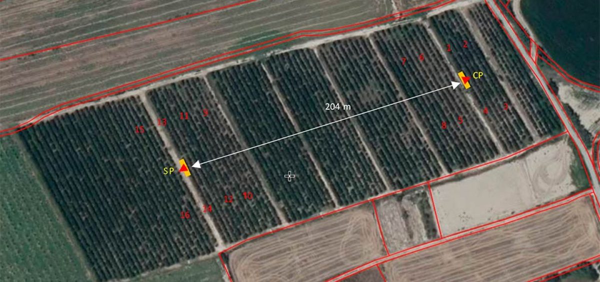 Ensayo de polinización con polen puro en plantación de cerezo en Albalate de Cinca (Aragón, España) | Zimex - EuroPollen