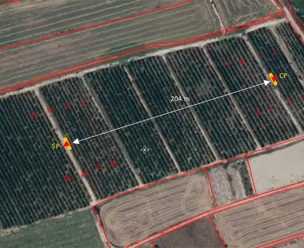 Ensayo de polinización con polen puro en plantación de cerezo en Albalate de Cinca (Aragón, España) | Zimex - EuroPollen